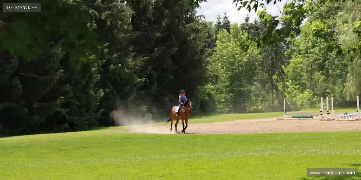⚽赛事预告,提前锁定你的热爱!📅